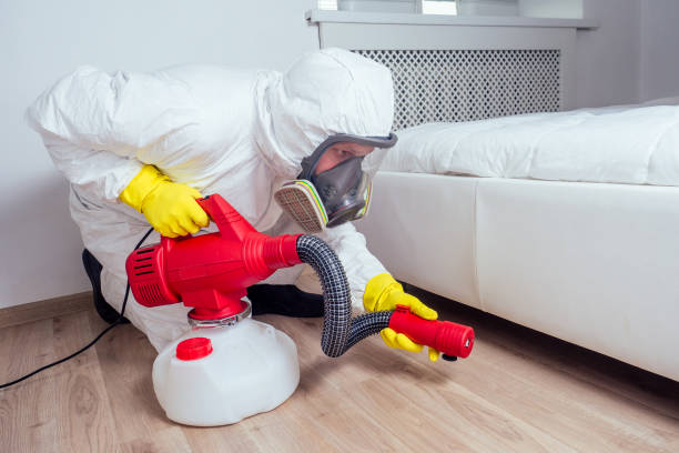 Best Real Estate Pest Inspections  in Calcium, NY